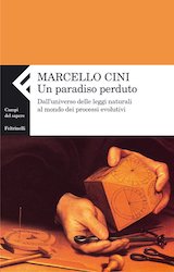 Marcello Cini